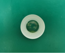 13.png