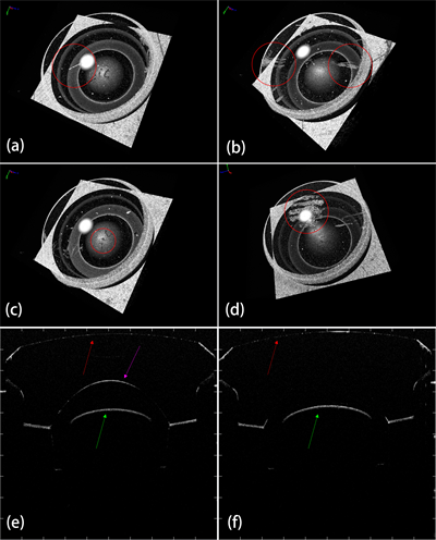 figure6.png