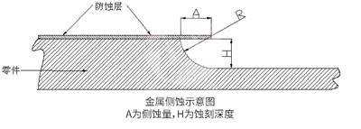 微信图片_20240724162948.png