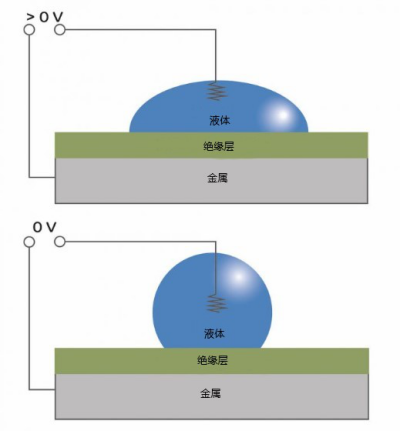 微信图片_20240812120353.png