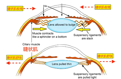 微信图片_20240815130240.png