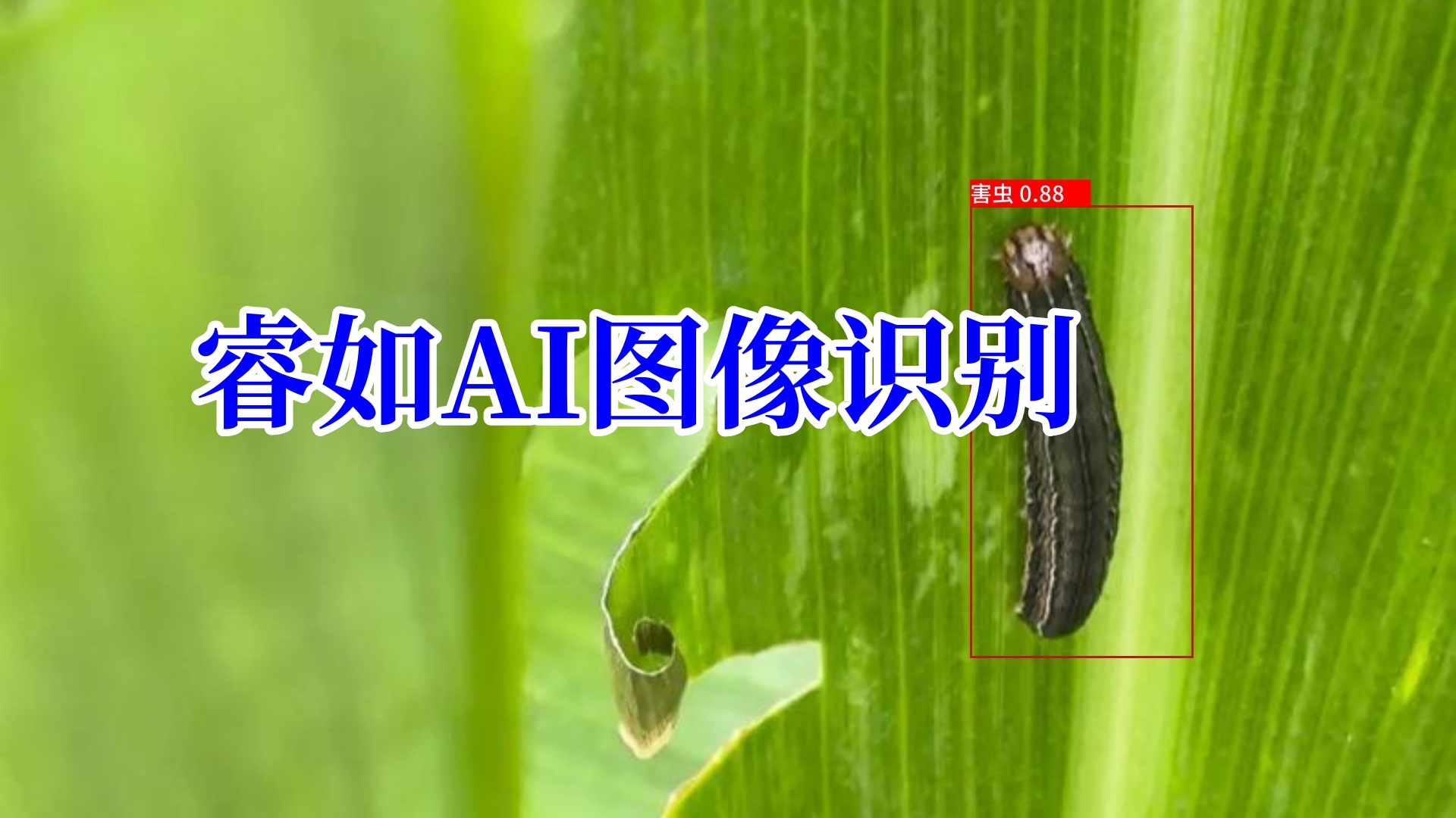 3bedf360ee6e8c11d4920d64a3981f05_副本_副本.jpg