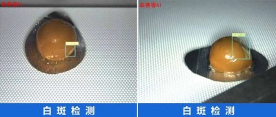 微信图片_20250520121452.jpg