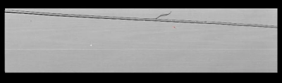 640.webp (9).png
